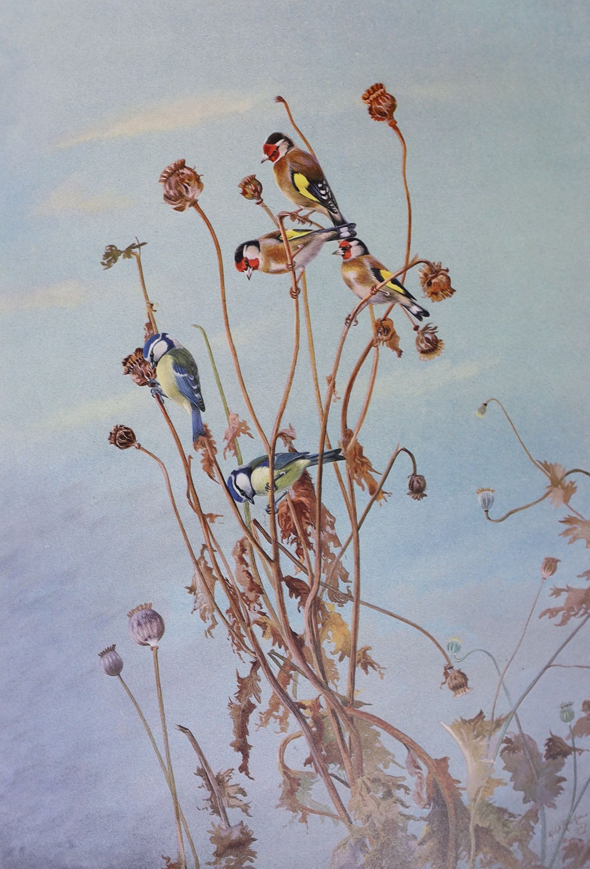 Rickman, Philip - A Selection of Bird Paintings and Sketches, one of 500 signed by the artist, folio, original half green morocco gilt, with mounted portrait and 31 mounted plates, Curpotten Ltd., London, 1979, in slip c
